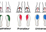 Pronateur, supinateur ou universel : comment choisir ses chaussures