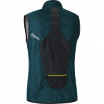 gilet tenue gore running wear back