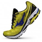 mizuno wave rider 16 homme