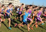 Cross de Blagnac 2012 : compte-rendu et photos