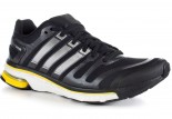 Nouveauté : adidas adistar ride Boost