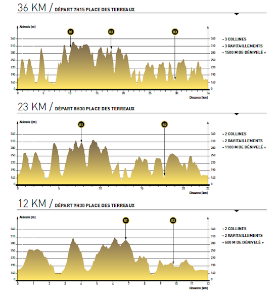 Profils parcours LUT 2013