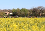 Trail “entre save et galop” de St-Paul sur Rave : compte-rendu, photos et vidéos