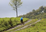 Le petit sentier