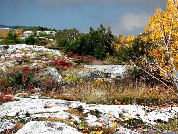 parc-de-la-gaspesie-229