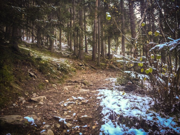 petit-sentier-de-mon-coeur