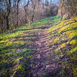 terrain-trail-test-chaussures-2