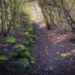 terrain-trail-test-chaussures-3