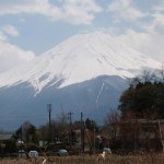 utmf-ultra-trail-mont-fuji-2014