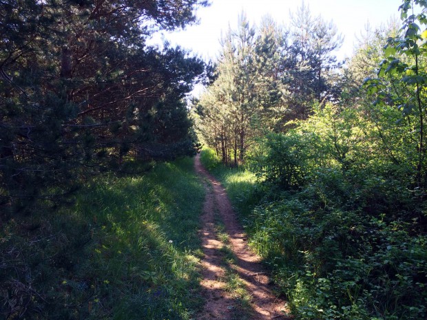 photo-trail