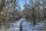 Un coin de ciel bleu en hiver