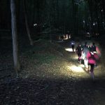 trail-des-lumieres-2016