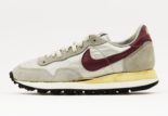 Nike Air Pegasus : 35 ans d’histoire