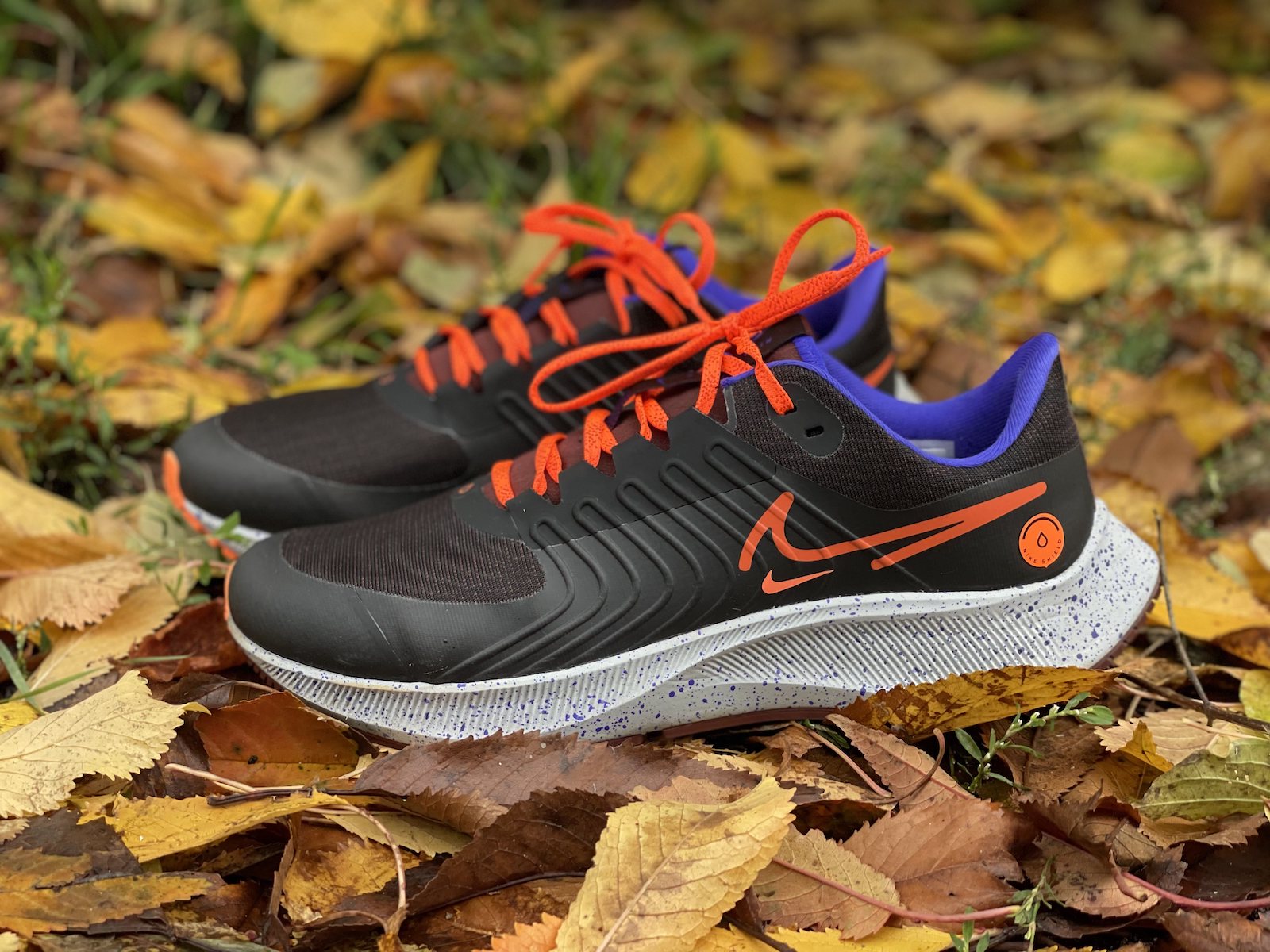 Nike : passer l'hiver en chaud en Pegasus