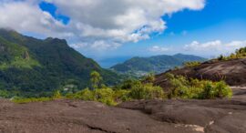 Colopia Trail