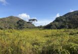 Traversée de Praslin par la montagne